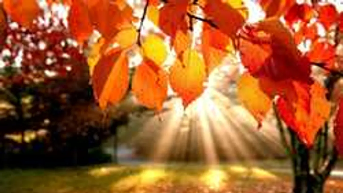 Közölte a meteorológia: elképesztő idővel köszönt be a hétvége