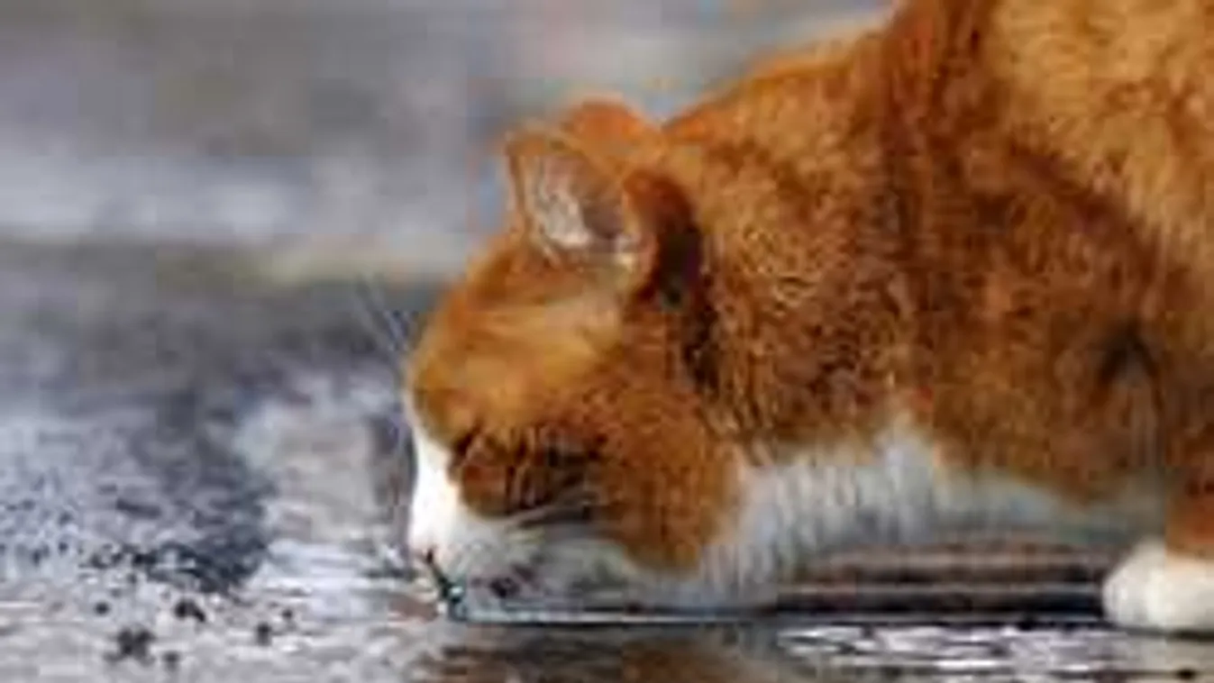 Kiadták a riasztást: váratlan időt hoz a hétvége