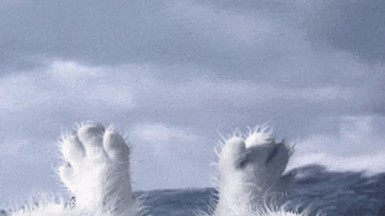 Borús, esős idővel indul a reggel, de aztán jön a meglepetés