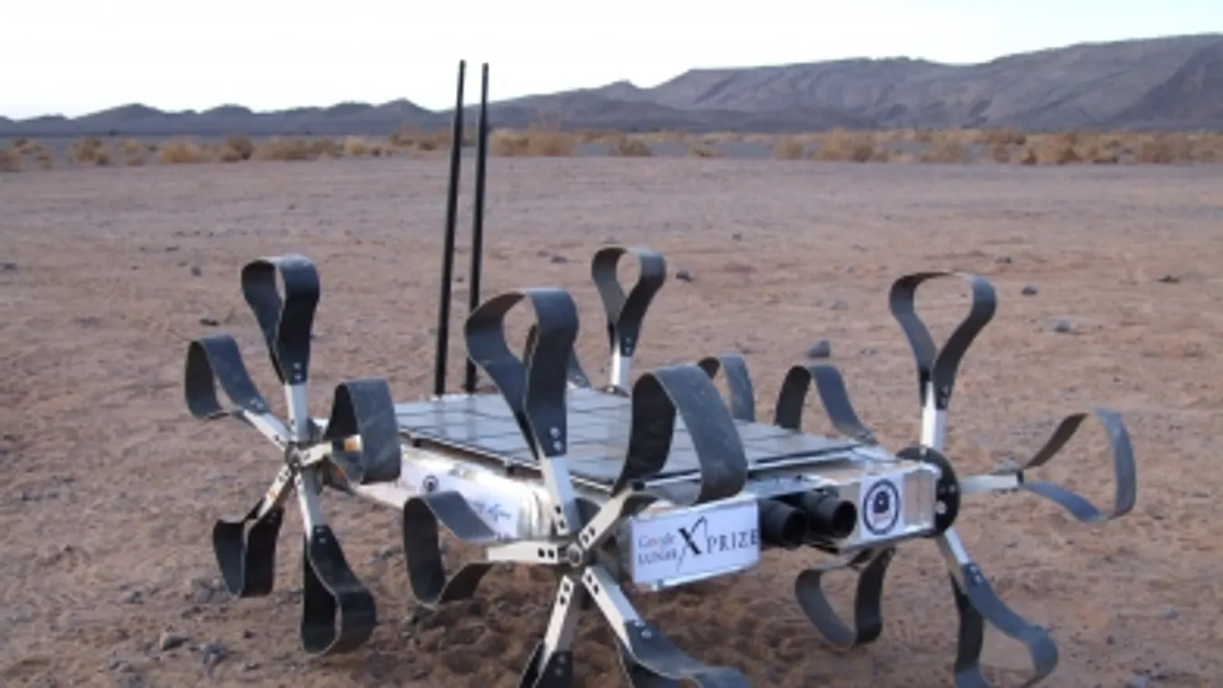 „Drágám, a csomag összement!„ Megnyerte a magyar Puli az űrügynökség versenyét