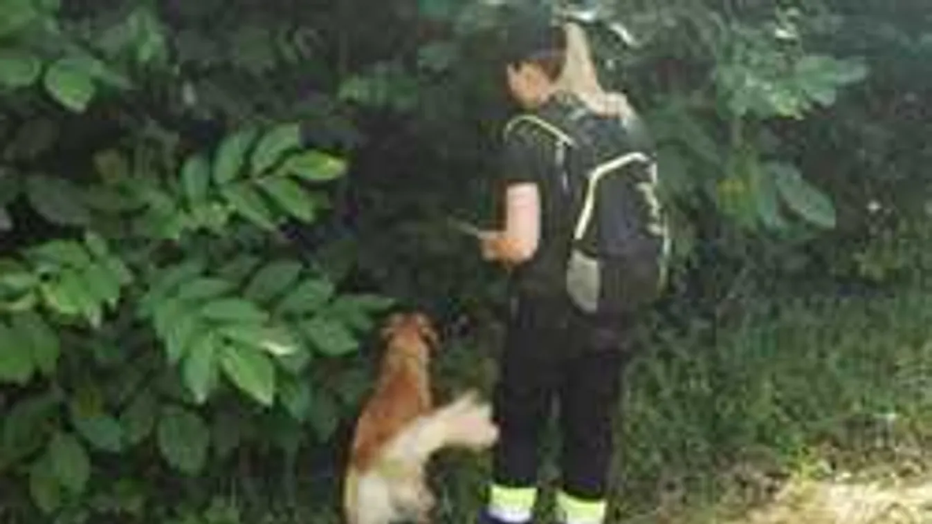 A család közölte: Holtan találták az eltűnt magyar édesapát