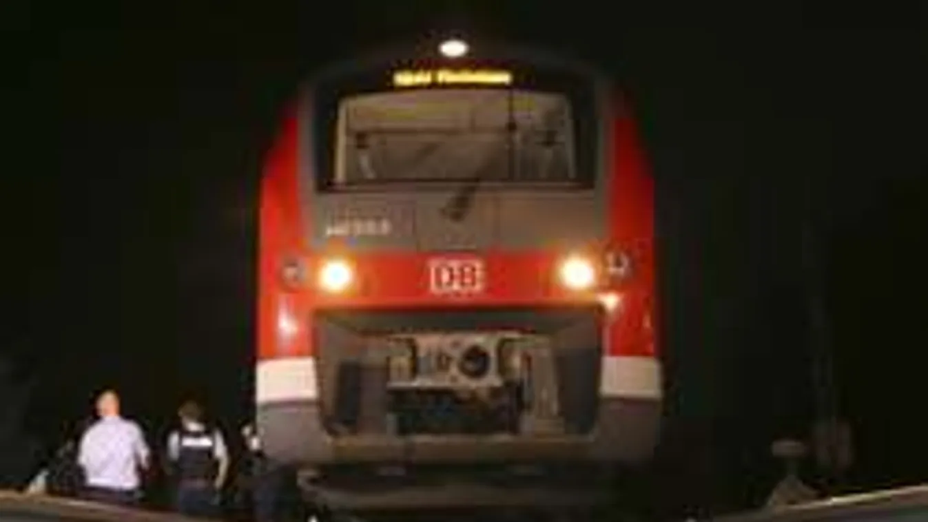 Kiderült, miért támadott a vonaton vérengző fejszés migráns!