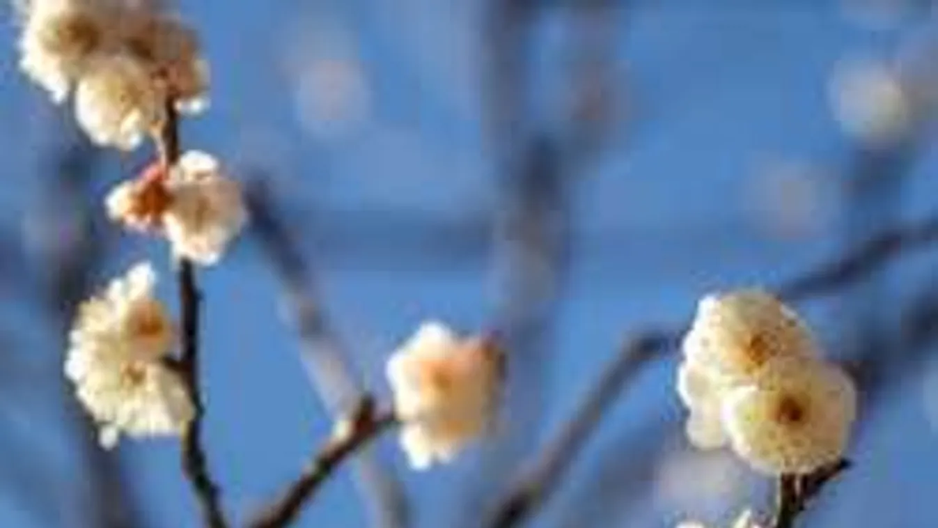 Megdöbbentő időjárást jeleznek tavaszra a meteorológusok - ezt látnod kell