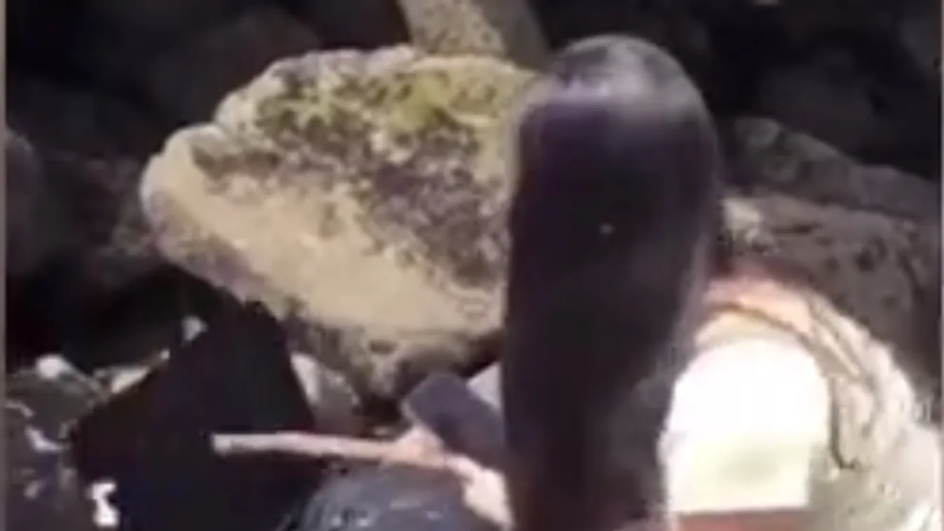 TikTok-sztárok találtak rá a holttestet rejtő bőröndre -videó