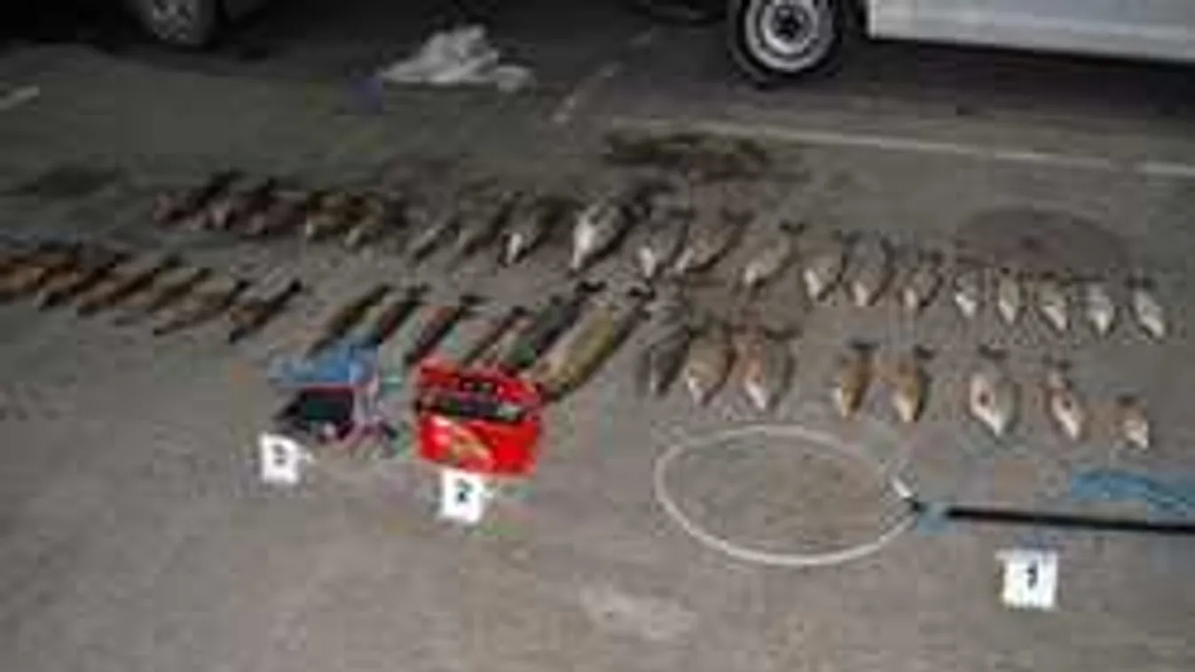 Villanyhalászok akadtak horogra