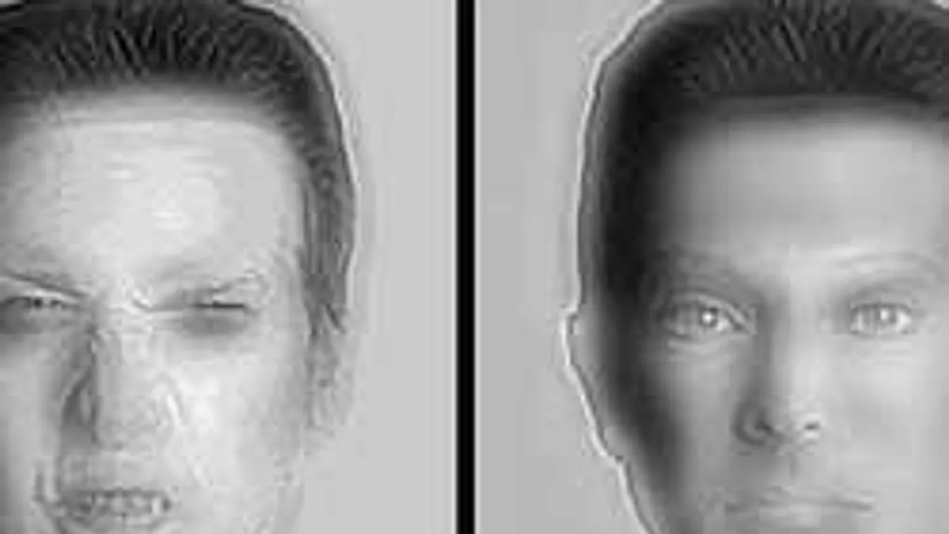 Megőrül az internet ezért az optikai illúzióért! Elképesztő látvány