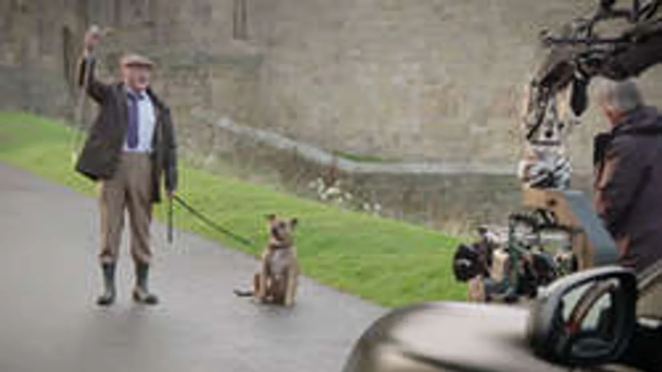 6 évig senkinek sem kellett, most mozisztár lett a menhelyi kutyusból