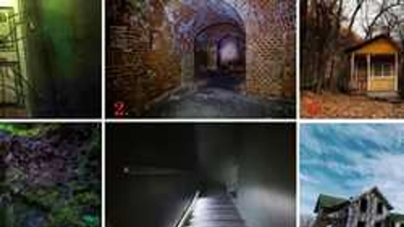 2018 legizgalmasabb személyiségtesztje: Feltárja a jövőd titkait