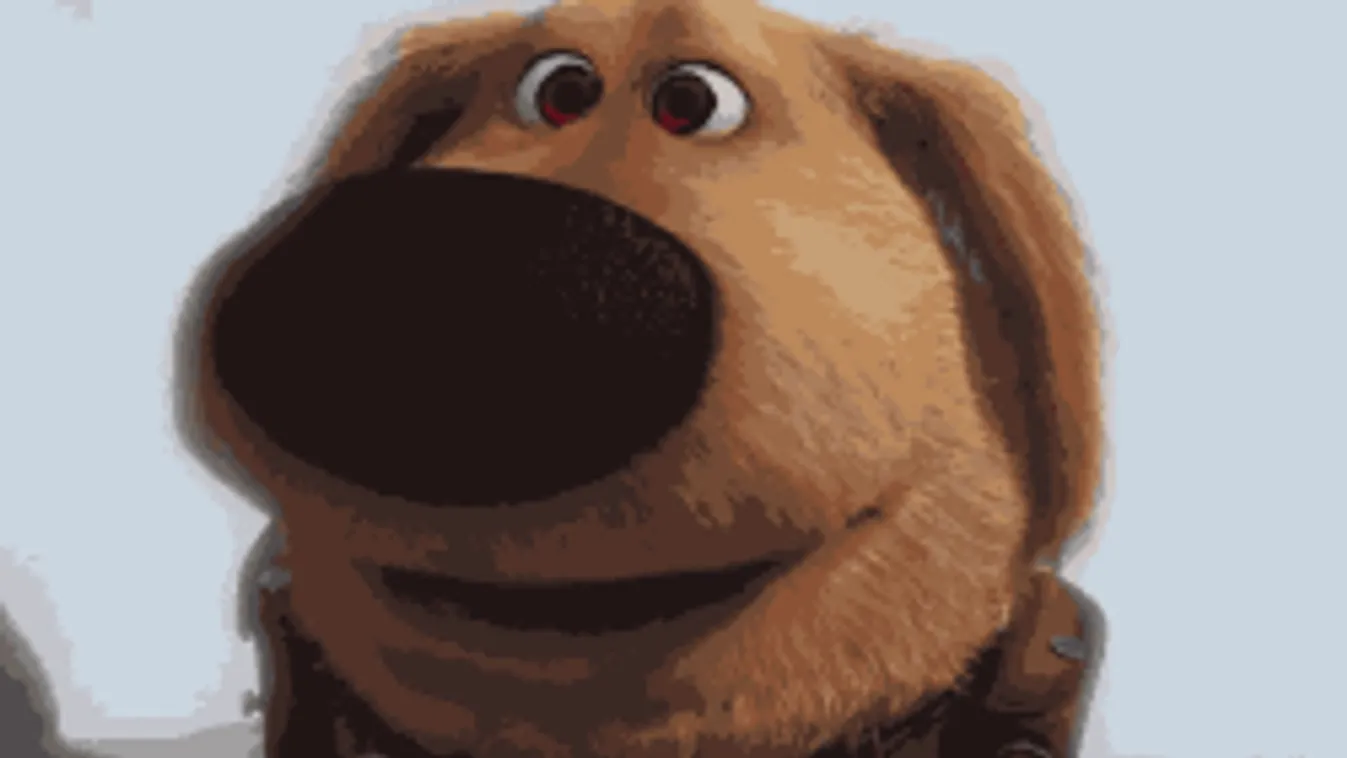 Nagy az öröm: megszülettek a két magyar tévés közös "unokái"