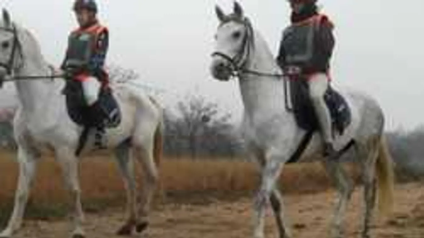 Ezzel a módszerrel akadályozzák meg a lopásokat