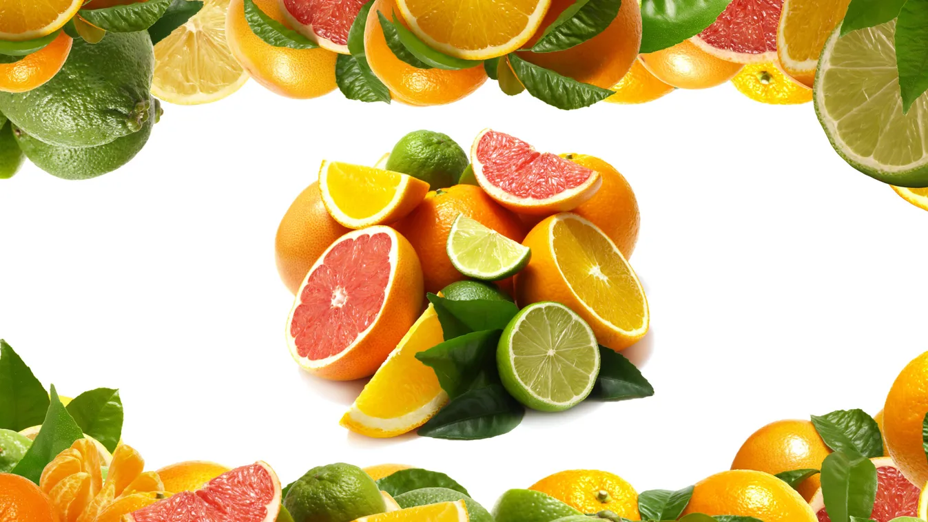 Fresh,Citrus