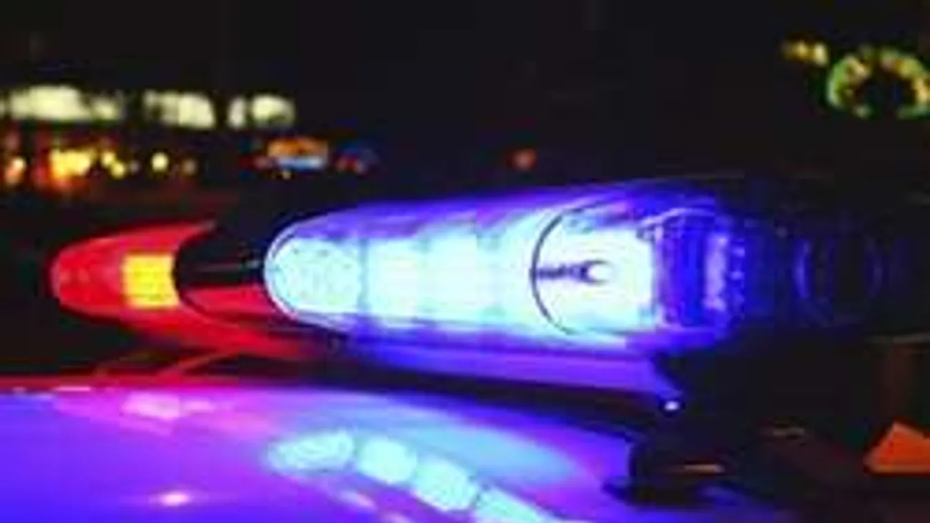 Elfogták a brutálisan bántalmazott idős tatai házaspár  gyilkosát!