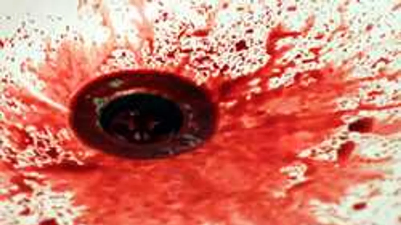 Kísértetházra bukkantak, levágott testrészekkel voltak teli a szobák