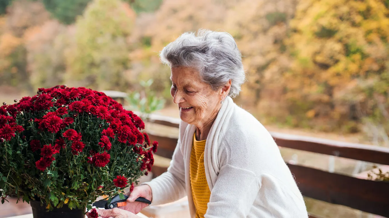 An elderly woman outdoors on a terrace on a sunny day in autumn.