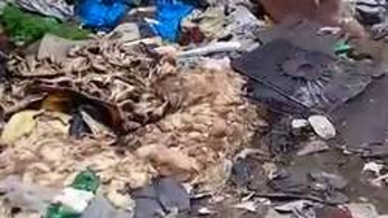Sokkoló videó: szanaszét hevernek a tetemek Ecsernél