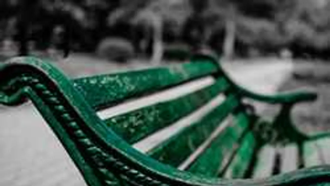 Meztelen emberek lepték el a fővárosi parkot