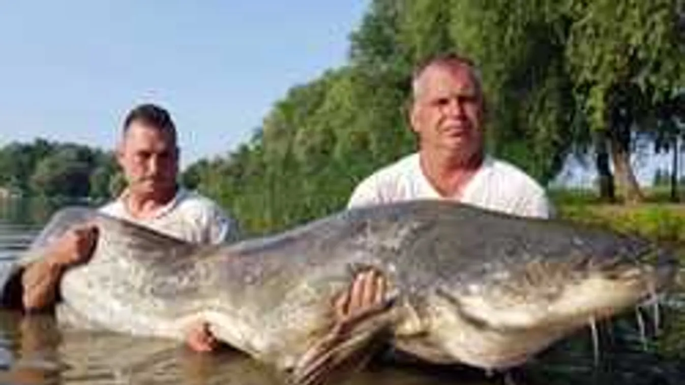 Igazi bestia, gigantikus "halszörny" bukkant fel a Tisza-tavon