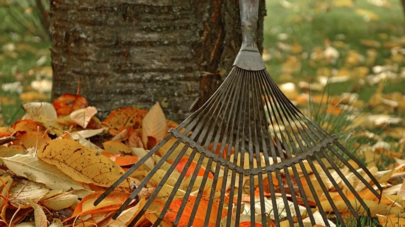 Most kell cselekedned, ha jövőre gyönyörű kertet szeretnél