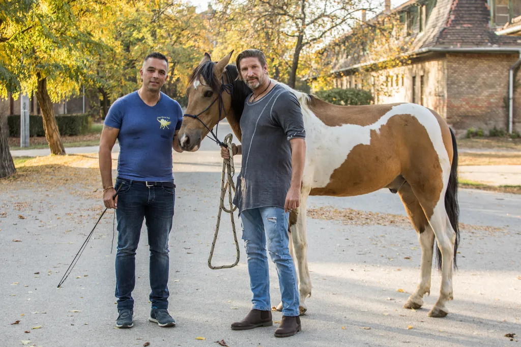 20191024_Tenya_Lovakkalsuttogo_MG_017