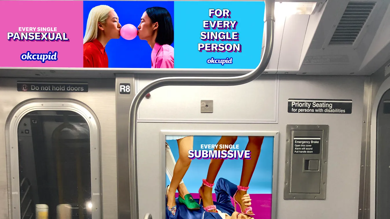 Leszaggatta az LMBTQ-propaganda plakátokat a metrón egy nő, hősként ünneplik – videó