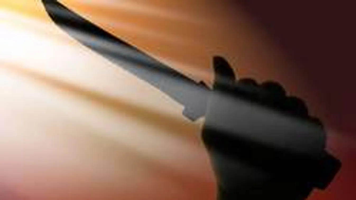 Gyilkosság szemtanúját ölték meg Apajon