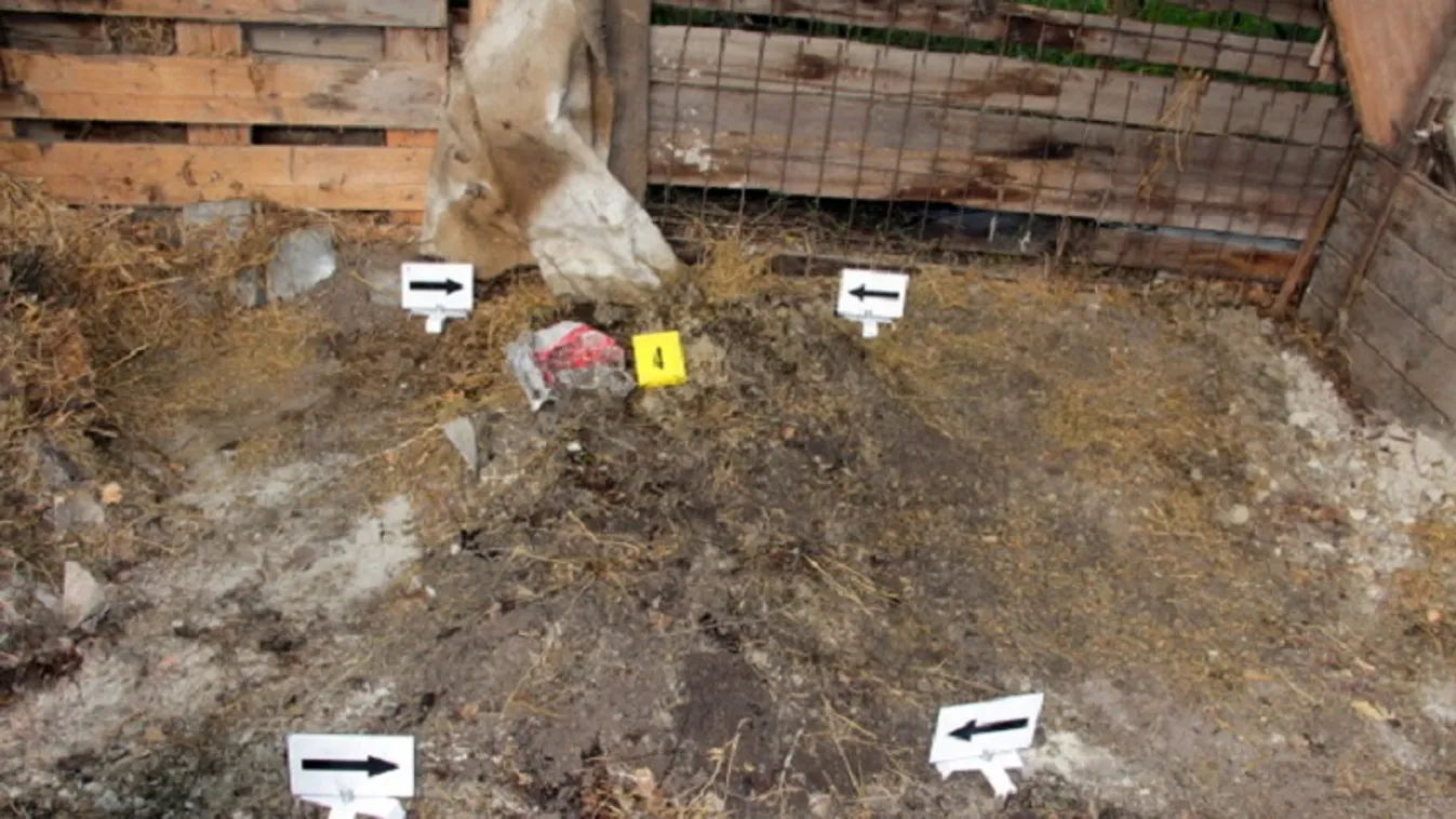 A gyilkos mindenről beszámolt: így ölték meg az újpesti férfit – Videón a vallomás