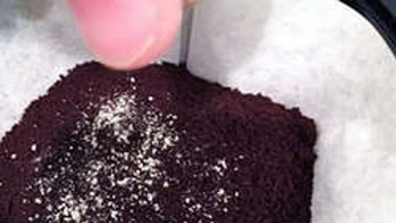 Hoppácska: ezért szórj a kávédba mindig egy csipet sót