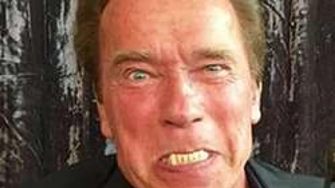 Schwarzenegger nem vacakol Valentin-napi szelfikkel!