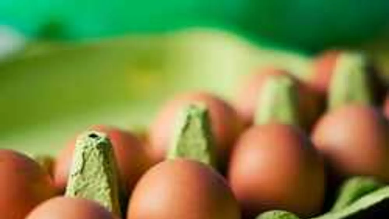 Nagy a baj, fertőzött tojás kerülhetett az áruházba