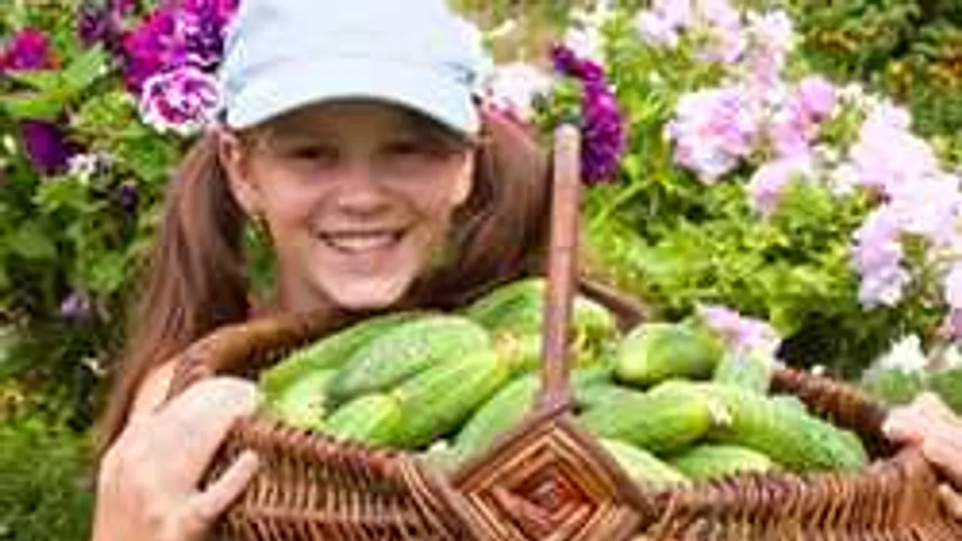 Ezt az olcsó zöldséget edd mindennap, ha nem akarsz öregedni