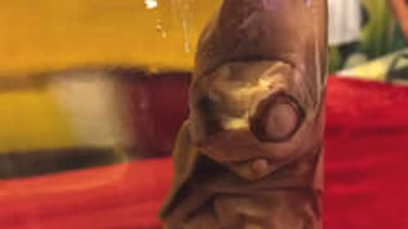 Alkoholban tartósított földönkívülit postáztak a szörnycirkusznak...