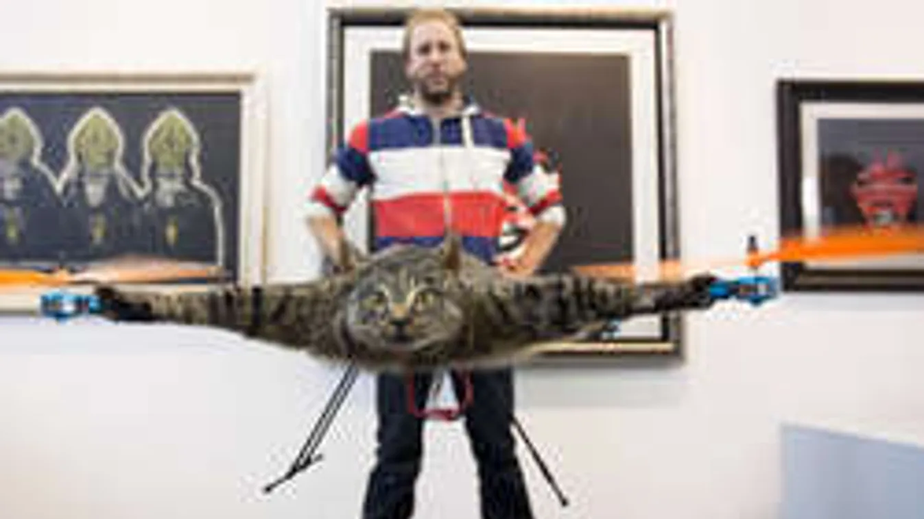 Ez az ember nem normális: Macskából épített helikoptert!