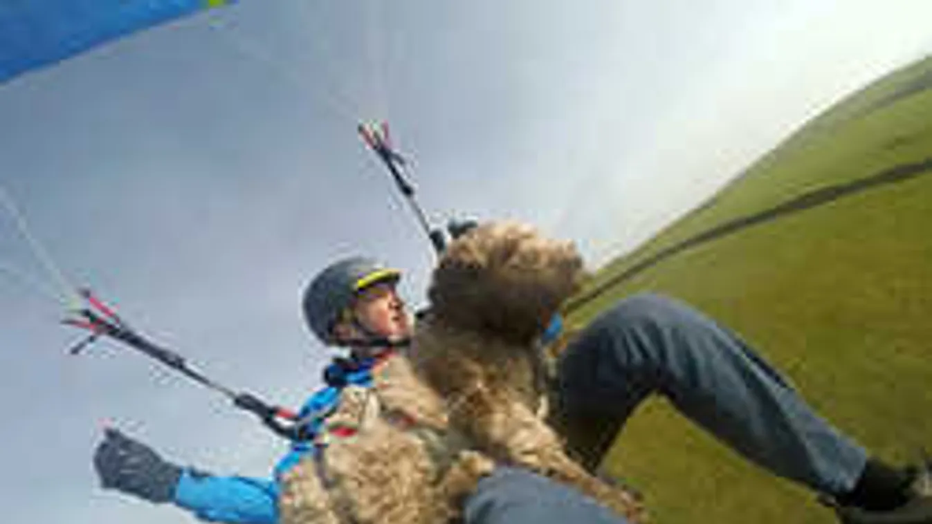 Íme a legügyesebb repülő kutya!