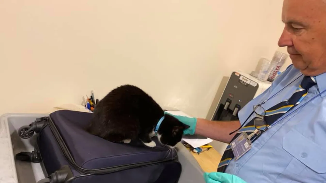 Ilyen nincs: durva, mit pakolt el a bőröndjébe a figyelmetlen nő