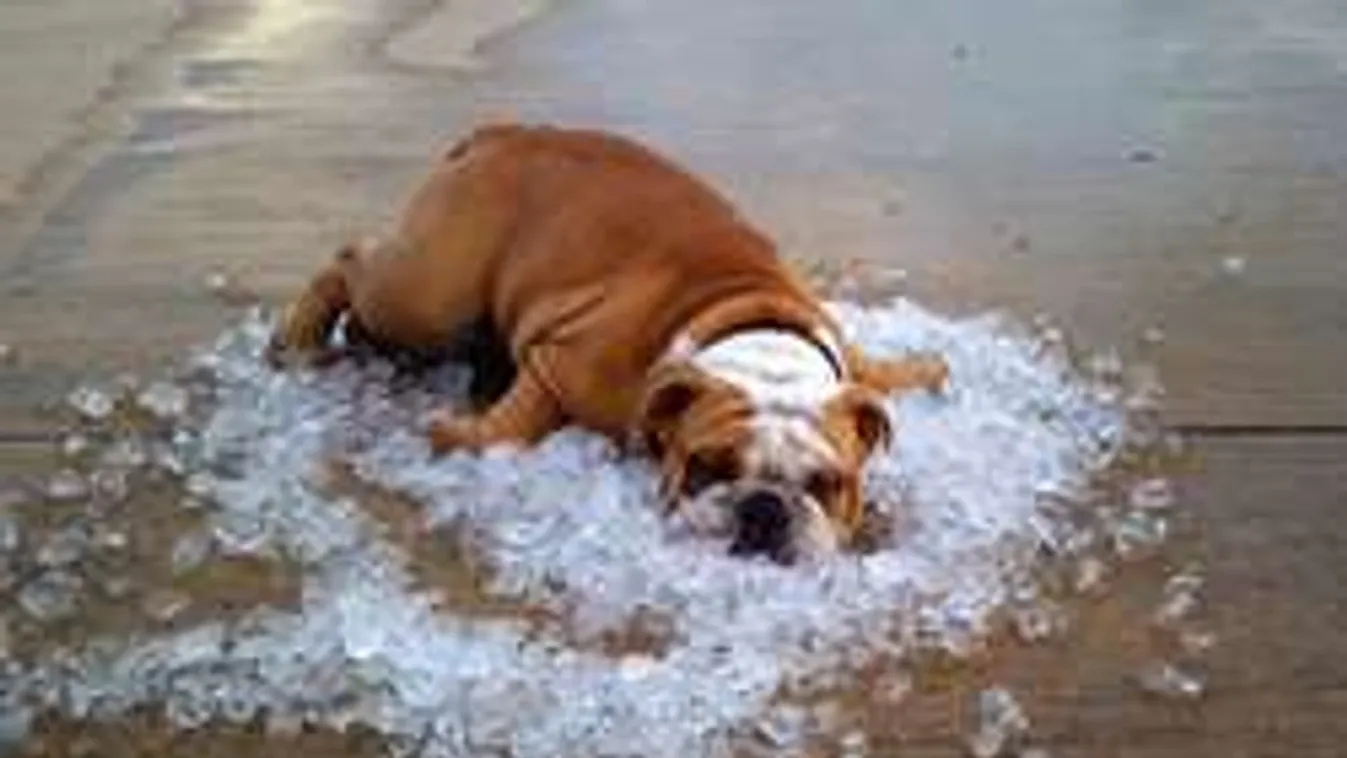 Időjárás: Ilyen sokáig nem enyhül a forróság