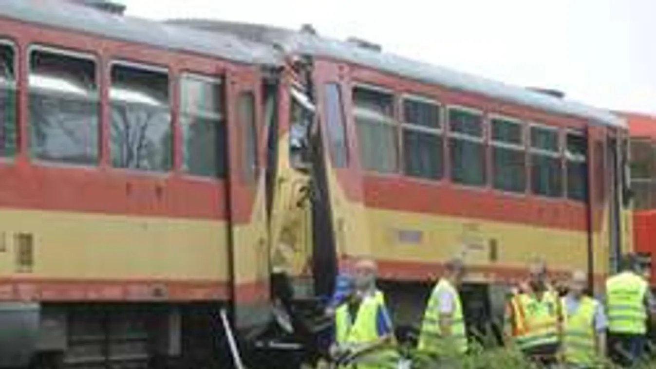 Sokkoló fotókon az elütött birkanyáj