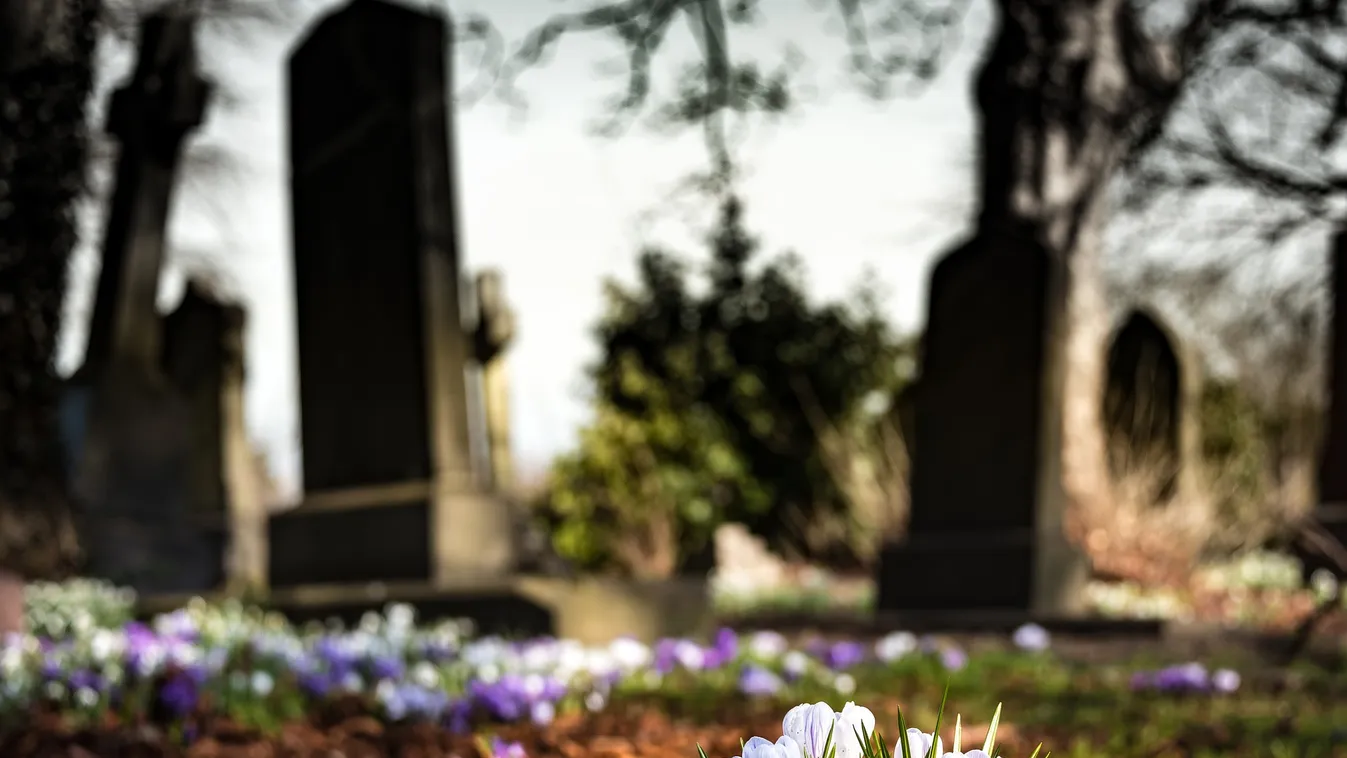 4 egyszerű tanács, amit meg kellene fogadnia annak, aki a temetőbe megy