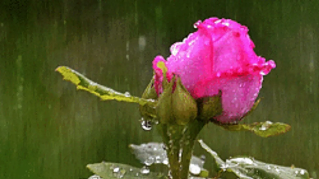 Nagy esővel jön a szélvihar, a jeges eső csak tovább ront a helyzeten