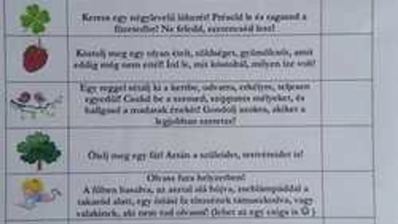 Új divat a magyar iskolákban: lecke nyárra, aminek örülnek a gyerekek