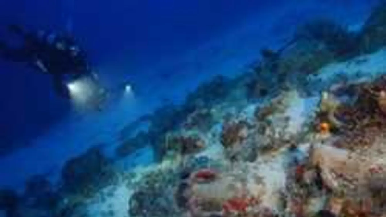 Sokkot kaptak a búvárok, amikor meglátták, mi van a tengerfenéken