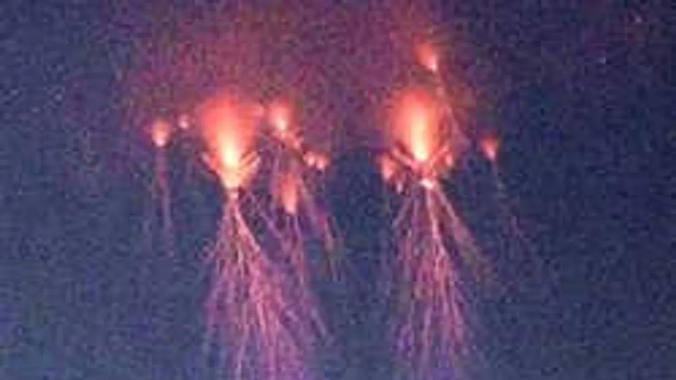 Különös jelenség: Medúzaszerű Vörös lidérceket videóztak a légkörben