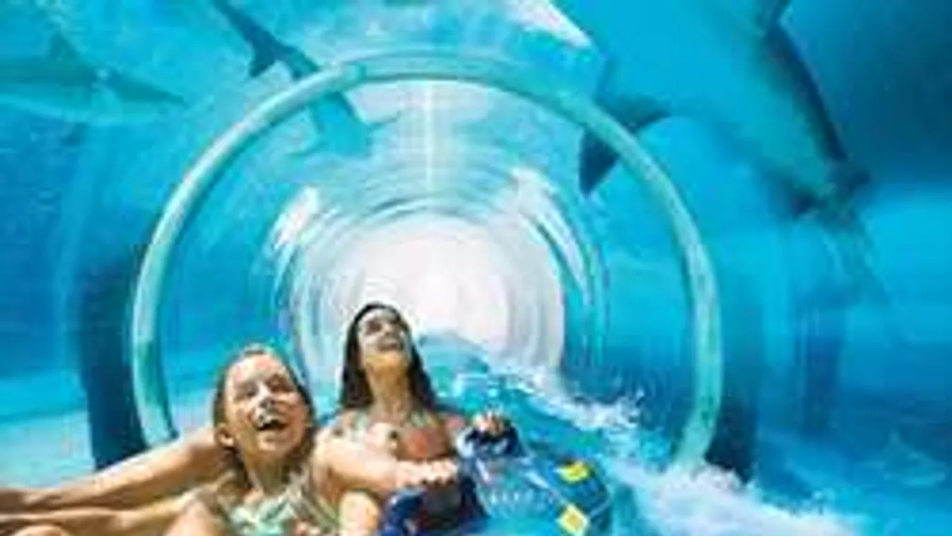 Cápák között: A világ legfélelmetesebb vízicsúszdái