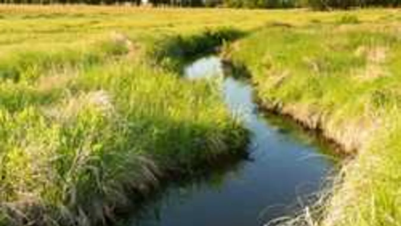 Felfoghatatlan tragédia Tarcsafalván, hiába küzdöttek a 2 éves életéért