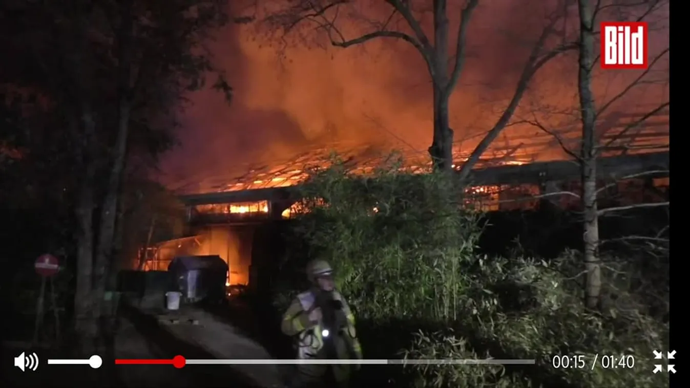 Megrázó részletek: Ezért gyulladhatott ki a német állatkert majomháza