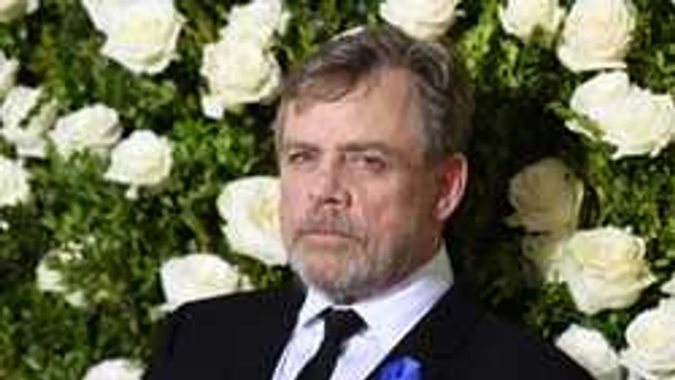 Élete legnagyobb elismerését kapja Luke Skywalker