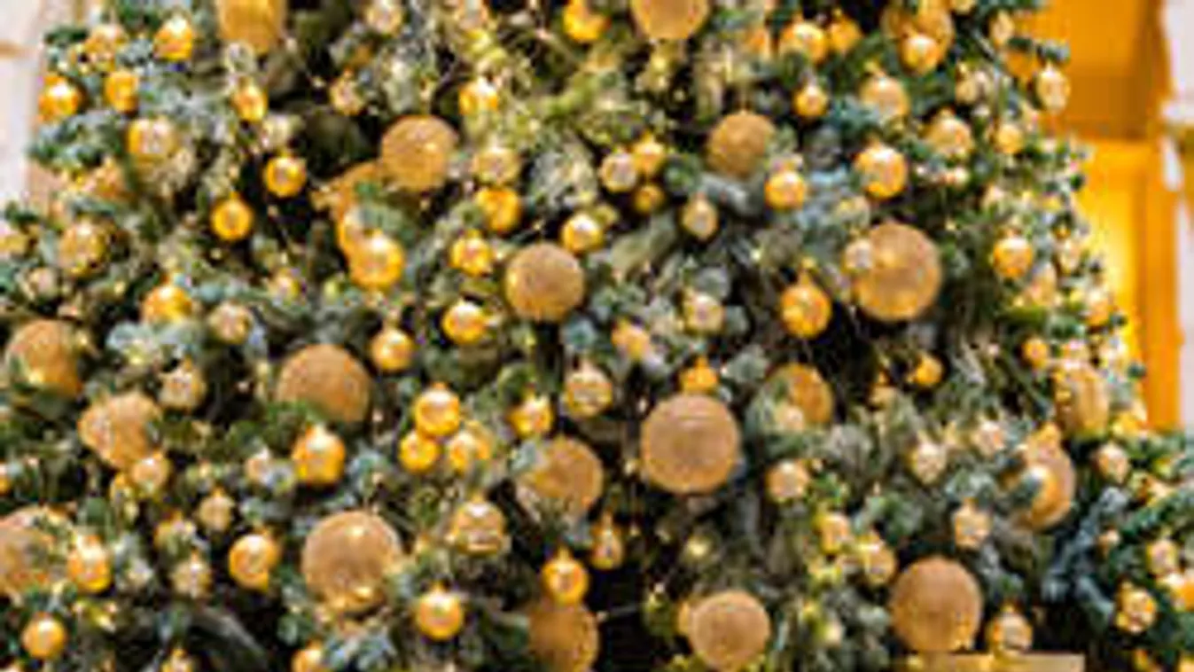 Felejtsd el a karácsonyfát! Sokkal jobbat mutatunk!