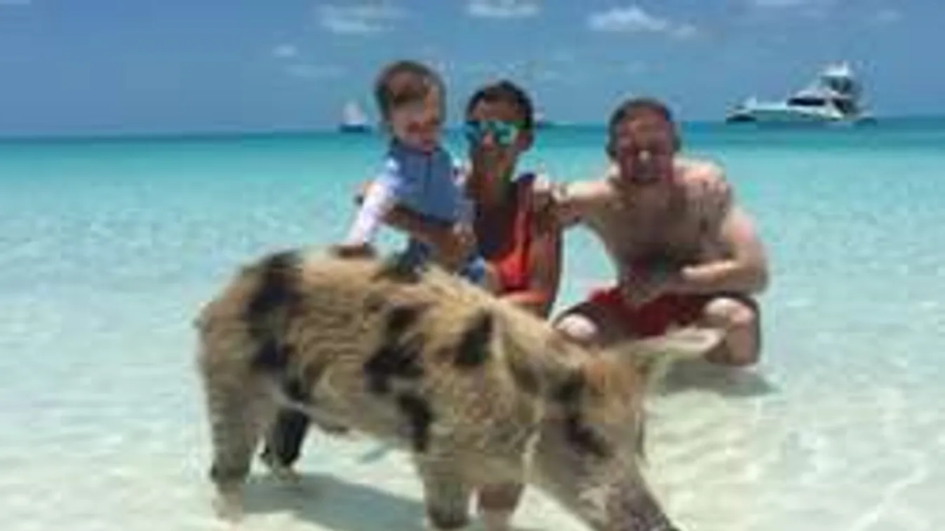 Disznóval pózolt a Bahamákon a focista