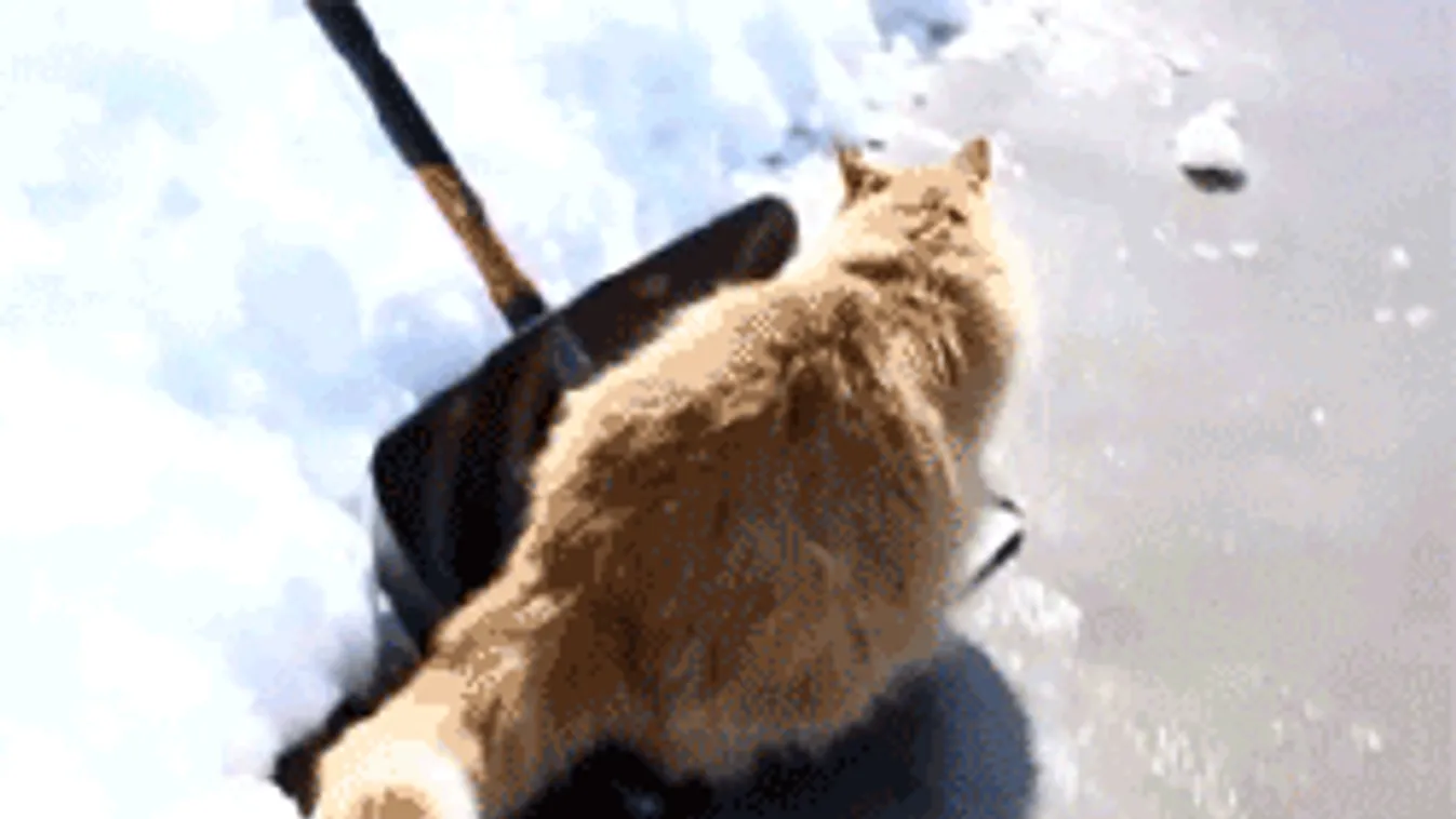 Baljós hófúvással tör ránk a hideg, mutatjuk a viharzónákat