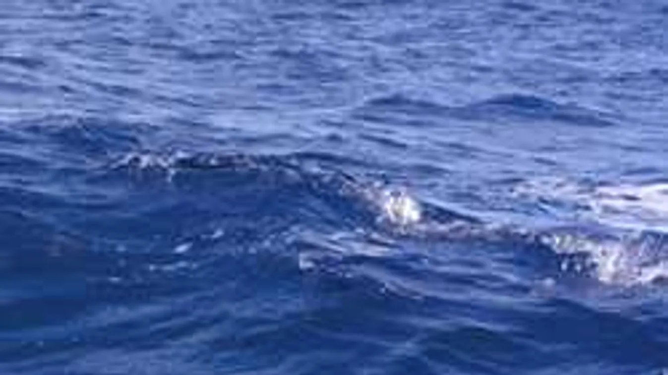 Meggyilkoltak egy magyar nőt külföldön, a tenger mosta partra a holttestét