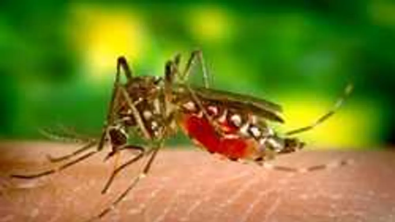 A történelem egyik legszörnyűbb vírusa kezdett újra elterjedni!